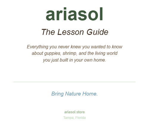 Ariasol Guppy Starter Kit
