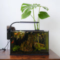 Ariasol aquarium starter kit set up with live plants