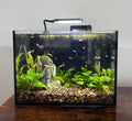 Ariasol Guppy Starter Kit